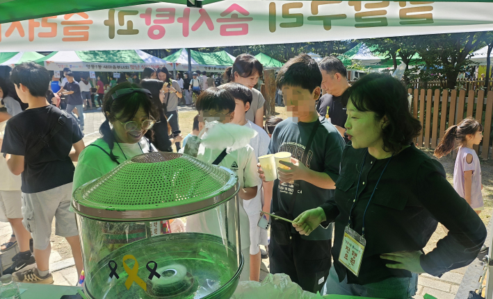 솜사탕 무료 나눔