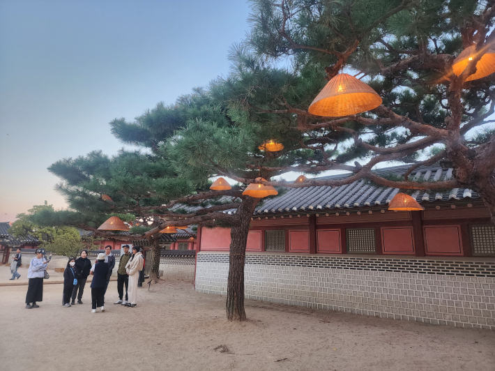 화성행궁 소나무 가지에 매달린 삿갓 모양 조명이 은은하게 빛나는 가운데, 관람객들이 무료 해설을 듣고 있다.