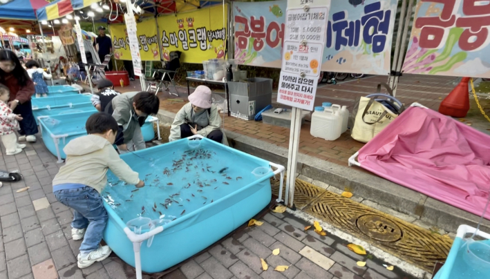 금붕어잡기 체험