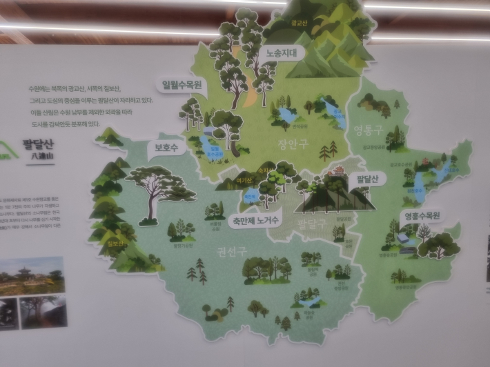 수원시에 있는 소나무 분포도