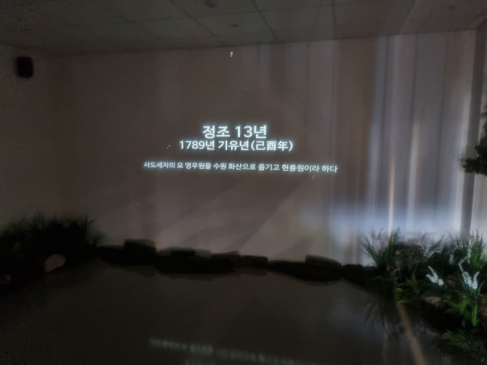 소나무의 모든 것을 안내하는 영상 전시실