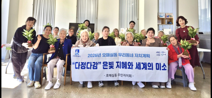 반려식물 스노우 사파이어