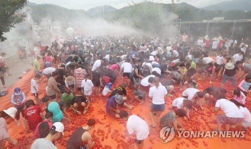 2017 화천토마토축제