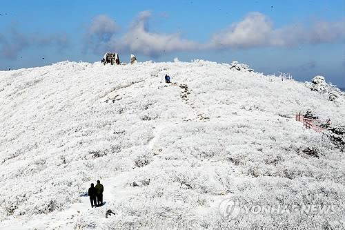 2012년 겨울 태백산 설경