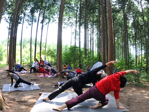 축령산 편백숲에서 열린 요가 프로그램