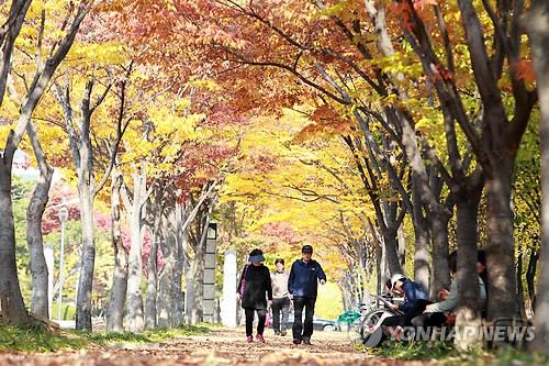 붉게 물든 창원 성산아트홀 가로수길