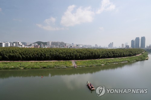 태화강 대공원, 십리대숲