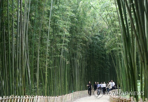 울산 태화강 십리대숲