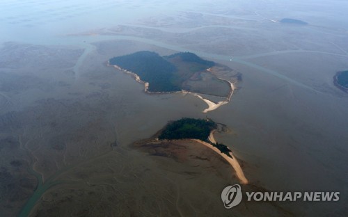 신안 압해 외안도 갯벌