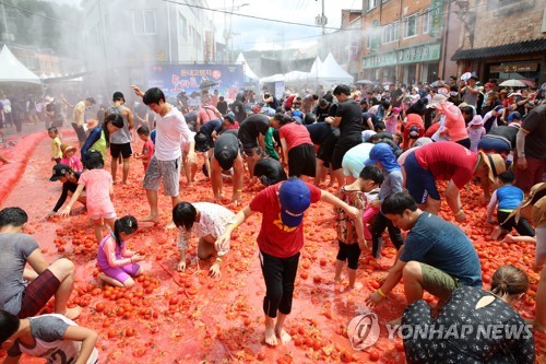 횡성 둔내고랭지토마토축제 