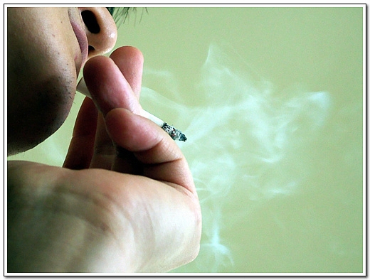 <출동! 시민기자>연말 성인흡연율 하락! 하지만 청소년 흡연율은 증가!_2