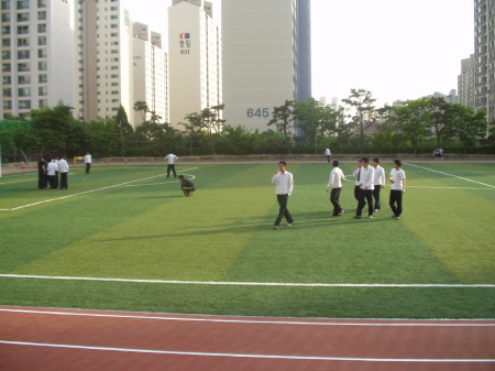 영덕고 인조 잔디 구장 단장_1