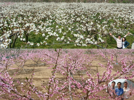 봄,여름,가을,겨울...사계절이 아름다운 저수지_1