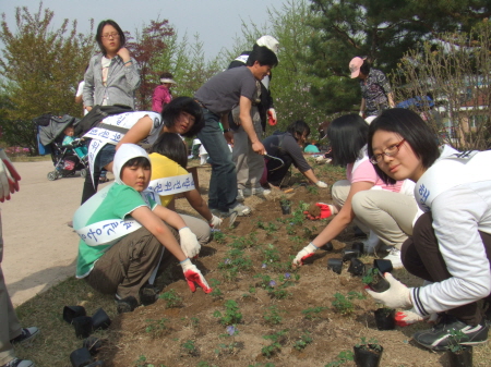 수원화성에 아름답게 피어나는 우리꽃_1