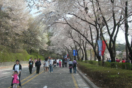 총 들고 휴전선 지켜야만 국방인가요?_1