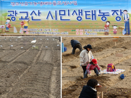 주말농장 일년 농사가 시작되었다_1