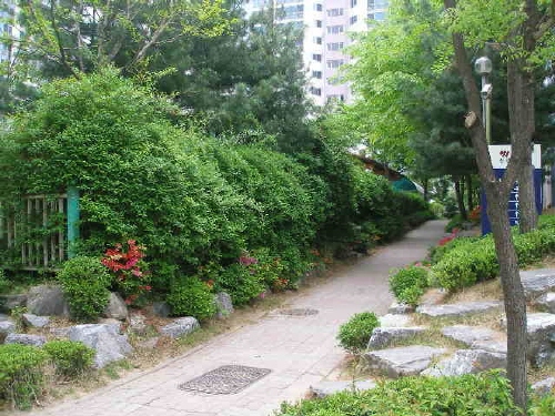 우리 동네 영통 작은 숲을 자랑합니다._1