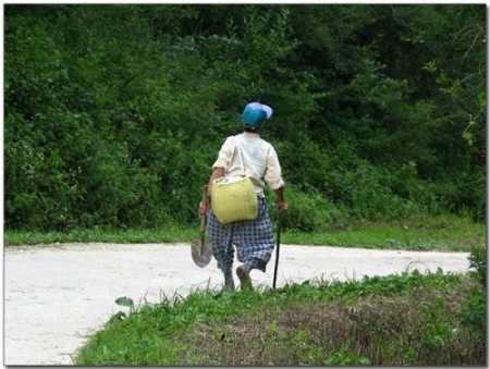 보고싶은 외할머니_1