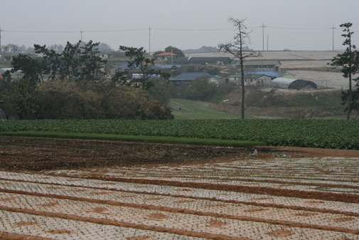 (詩)침묵의 길, 고향 길을 다녀오는 해가 안부를 전하리!_1