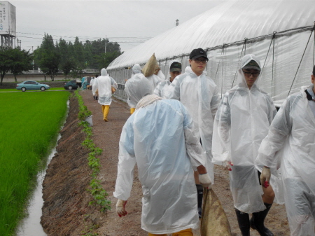 집중호우 피해 농가 복구에 구슬땀_1