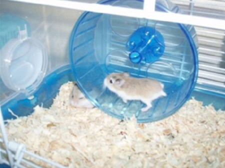 점점 반복되어 가는 일상_1