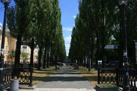 광활한 벌판의 해바라기와 보리밭은 장관을 이루고_1