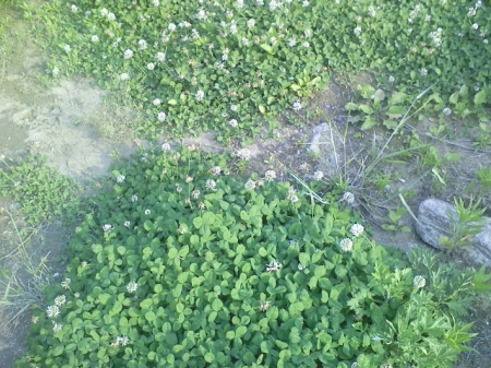 부모님이 계신 저는 행복한 사람이예요 _1