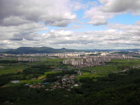 숲속에서 벌어지는 일_1