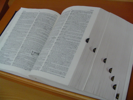 ‘비끼다’와 ‘비키다’_1