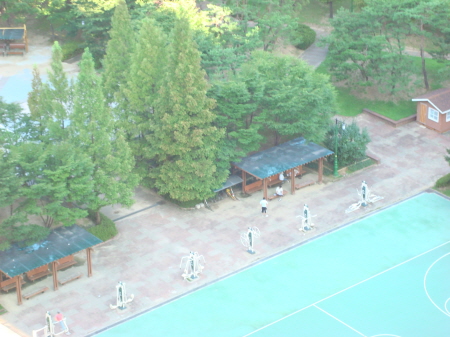 식전에  공원에  나갔더니_1