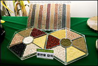 ‘잡곡’이 몸에 좋은 ‘과학적인’ 이유 _1