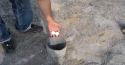 방치공찾기 운동 전개_2