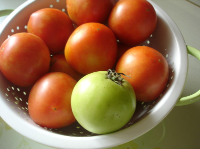 토마토로 건강한 여름 즐긴다_2