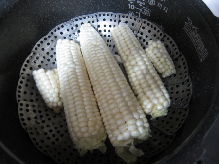 찰옥수수가 제철이랍니다_1