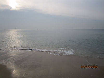 가을이 다가오는 계절_1