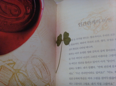 행운의 상징 네잎 클로버_2