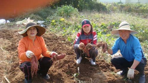 사랑의 주말농장 운영으로 이웃 사랑 실천_2