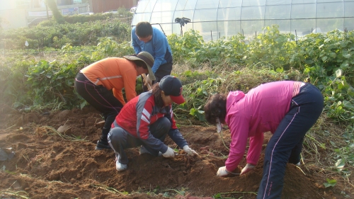 사랑의 주말농장 운영으로 이웃 사랑 실천_3