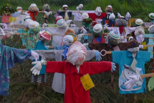 머리에 아직 피도 안마른 것들이_1