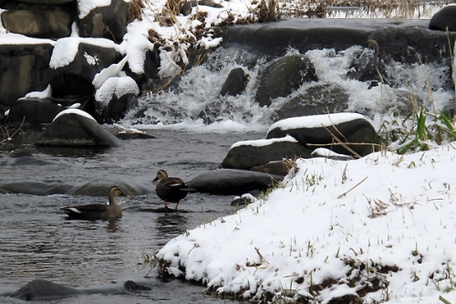 눈 오는 날 수원 화성의 풍경은 어떨까?_1