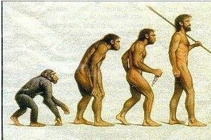 진화와 창조에 대한 이야기_1