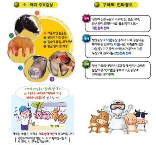 구제역 예방에 끝까지 최선을 다하는 사람들_2