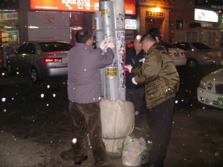 전단지 하루에 몇 장 받으시나요?_1