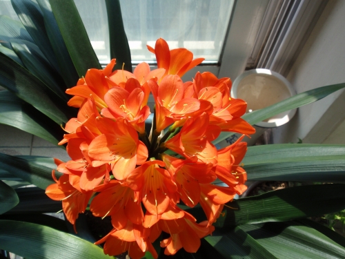 전화기에서 '아빠 살려주세요' 비명소리가_2