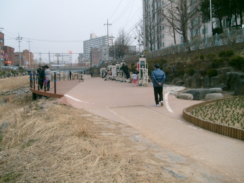 수원천 튤립축제 기다려집니다  _4