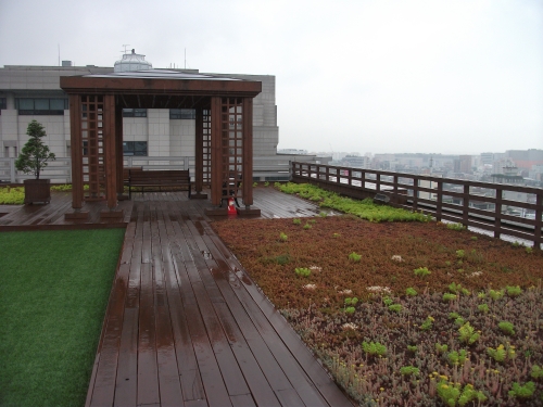 옥상에서 공원을 즐기다_1