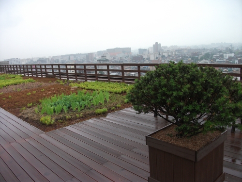 옥상에서 공원을 즐기다_2