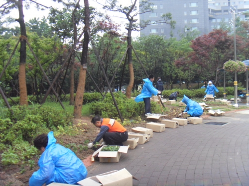 영통1동, 단오공원 건영아파트 주민이 가꾼다_2