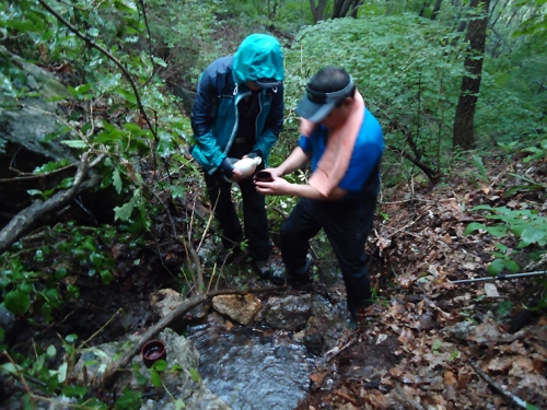 한반도의 배꼽, 수원천 발원지를 찾아서_4