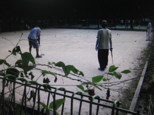 게이트볼, 부모님께 권해볼까?_2